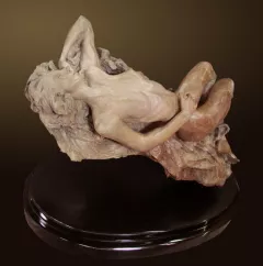 Awakening by Nguyen Tuan on Bronze Sculpture