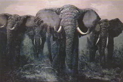 Elephant Stand by Mark King on Serigraph
