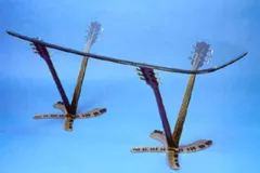 Guitar Set - Table by Paul Wegner on Bronze Sculpture