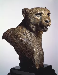 Cheetah Bust Life by Richard MacDonald on Bronze Sculpture