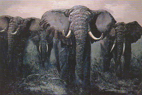 Elephant Stand by Mark King | Serigraph