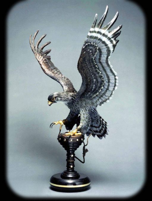 Falcon Crest - Grey by Chester Fields | Bronze Sculpture