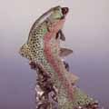 Rising Trout by Chester Fields | Bronze Sculpture