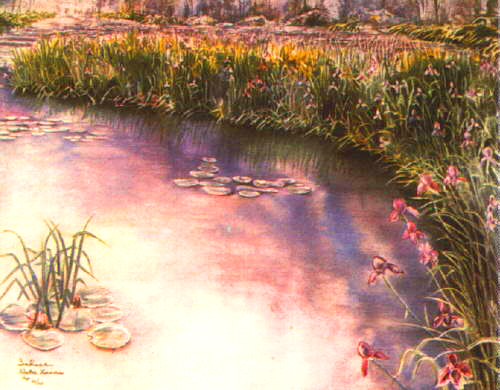 Water Lillies by Sahall | Serigraph