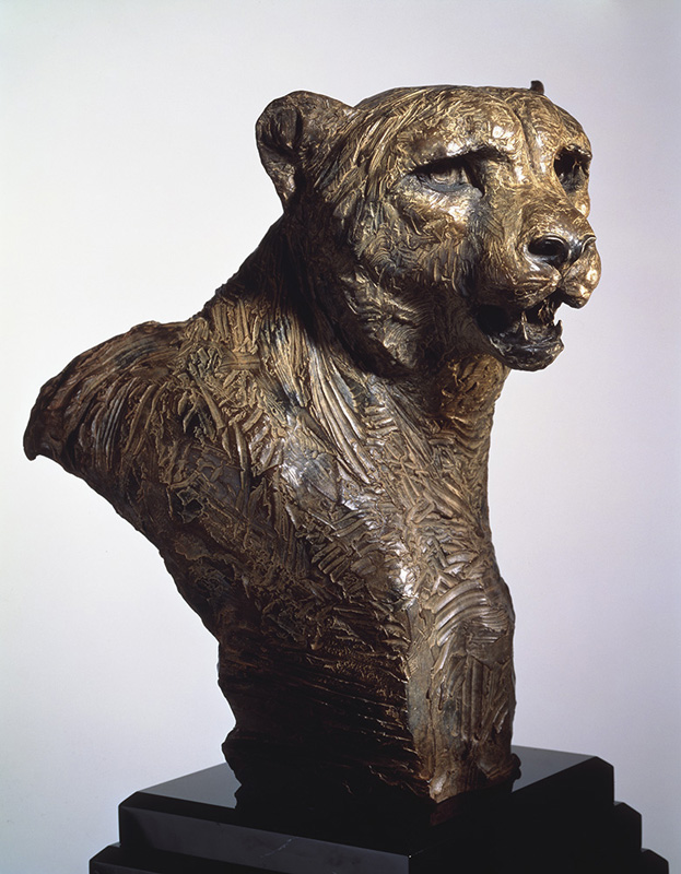 Cheetah Bust Life by Richard MacDonald | Bronze Sculpture